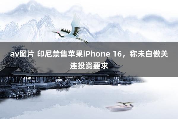 av图片 印尼禁售苹果iPhone 16，称未自傲关连投资要求