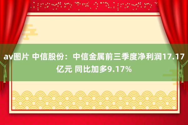 av图片 中信股份：中信金属前三季度净利润17.17亿元 同比加多9.17%