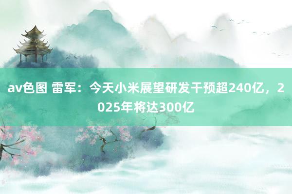 av色图 雷军：今天小米展望研发干预超240亿，2025年将达300亿