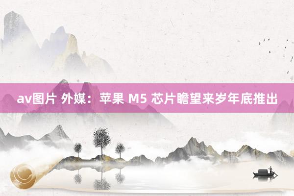 av图片 外媒：苹果 M5 芯片瞻望来岁年底推出