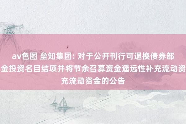 av色图 垒知集团: 对于公开刊行可退换债券部分召募资金投资名目结项并将节余召募资金遥远性补充流动资金的公告