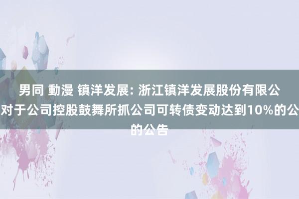 男同 動漫 镇洋发展: 浙江镇洋发展股份有限公司对于公司控股鼓舞所抓公司可转债变动达到10%的公告