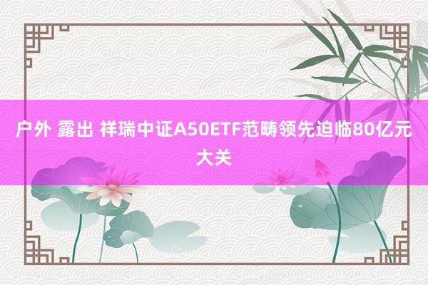 户外 露出 祥瑞中证A50ETF范畴领先迫临80亿元大关