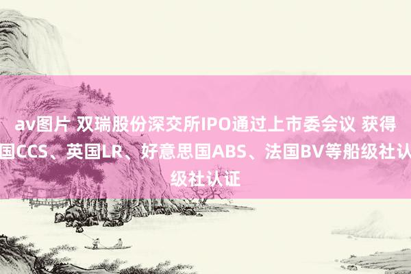 av图片 双瑞股份深交所IPO通过上市委会议 获得中国CCS、英国LR、好意思国ABS、法国BV等船级社认证