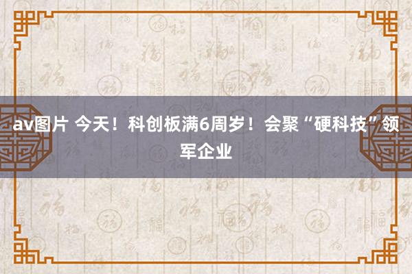 av图片 今天！科创板满6周岁！会聚“硬科技”领军企业