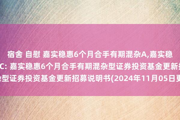 宿舍 自慰 嘉实稳惠6个月合手有期混杂A，嘉实稳惠6个月合手有期混杂C: 嘉实稳惠6个月合手有期混杂型证券投资基金更新招募说明书(2024年11月05日更新)