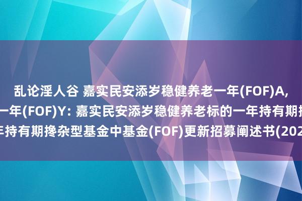 乱论淫人谷 嘉实民安添岁稳健养老一年(FOF)A，嘉实民安添岁稳健养老一年(FOF)Y: 嘉实民安添岁稳健养老标的一年持有期搀杂型基金中基金(FOF)更新招募阐述书(2024年11月05日更新)