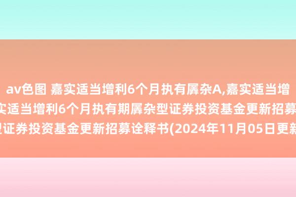 av色图 嘉实适当增利6个月执有羼杂A，嘉实适当增利6个月执有羼杂C: 嘉实适当增利6个月执有期羼杂型证券投资基金更新招募诠释书(2024年11月05日更新)