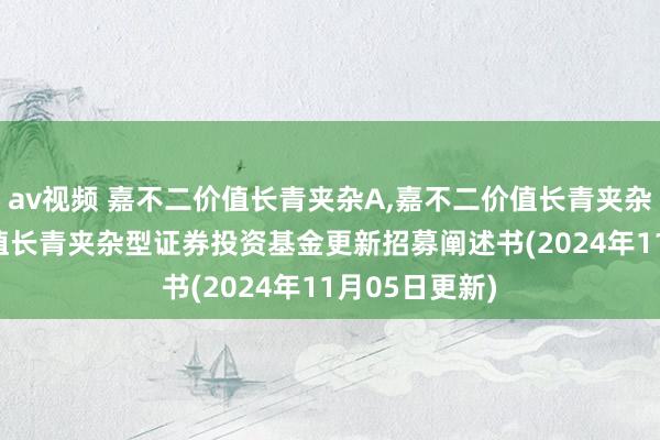 av视频 嘉不二价值长青夹杂A，嘉不二价值长青夹杂C: 嘉不二价值长青夹杂型证券投资基金更新招募阐述书(2024年11月05日更新)