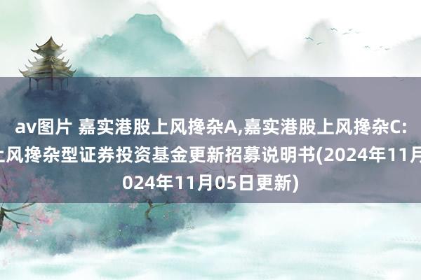 av图片 嘉实港股上风搀杂A，嘉实港股上风搀杂C: 嘉实港股上风搀杂型证券投资基金更新招募说明书(2024年11月05日更新)