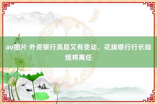 av图片 外资银行高层又有变动，花旗银行行长陆烜将离任