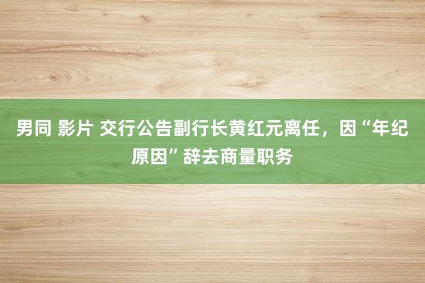 男同 影片 交行公告副行长黄红元离任，因“年纪原因”辞去商量职务