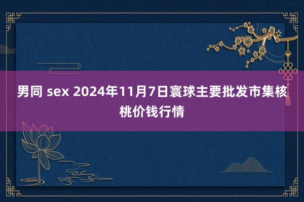 男同 sex 2024年11月7日寰球主要批发市集核桃价钱行情