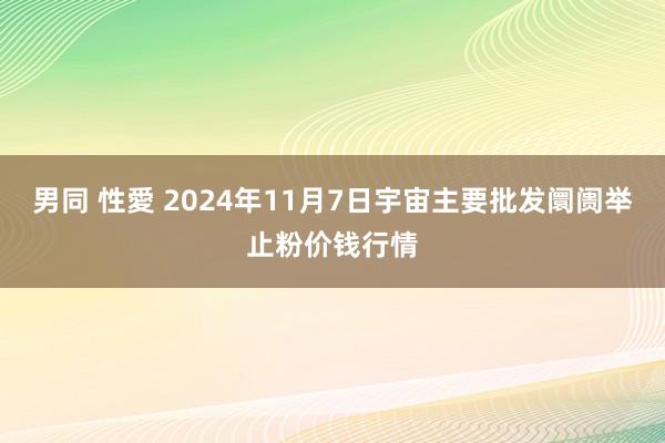 男同 性愛 2024年11月7日宇宙主要批发阛阓举止粉价钱行情