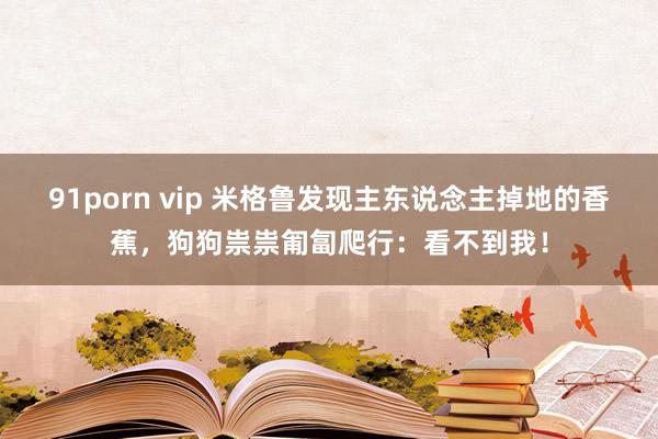 91porn vip 米格鲁发现主东说念主掉地的香蕉，狗狗祟祟匍匐爬行：看不到我！