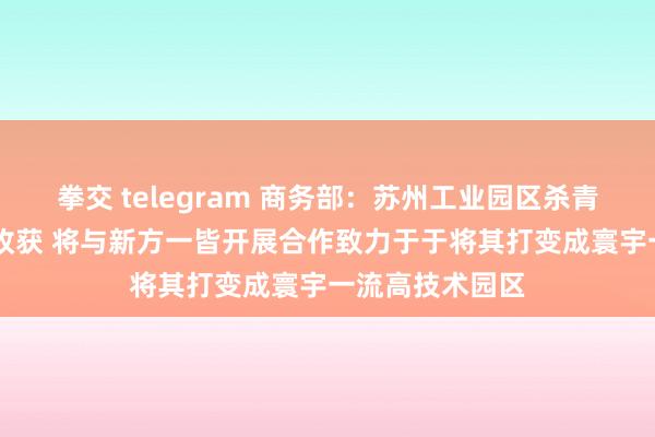 拳交 telegram 商务部：苏州工业园区杀青“3个过万亿”收获 将与新方一皆开展合作致力于于将其打变成寰宇一流高技术园区