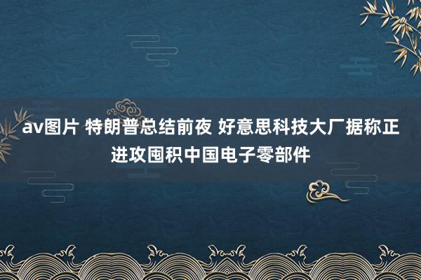 av图片 特朗普总结前夜 好意思科技大厂据称正进攻囤积中国电子零部件