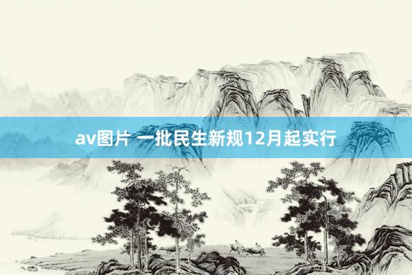 av图片 一批民生新规12月起实行