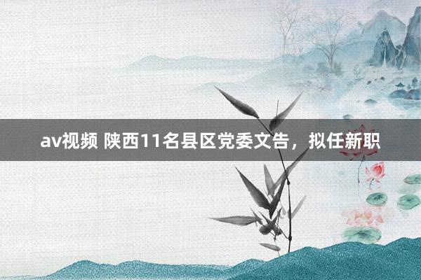 av视频 陕西11名县区党委文告，拟任新职