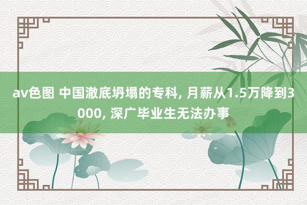 av色图 中国澈底坍塌的专科， 月薪从1.5万降到3000， 深广毕业生无法办事