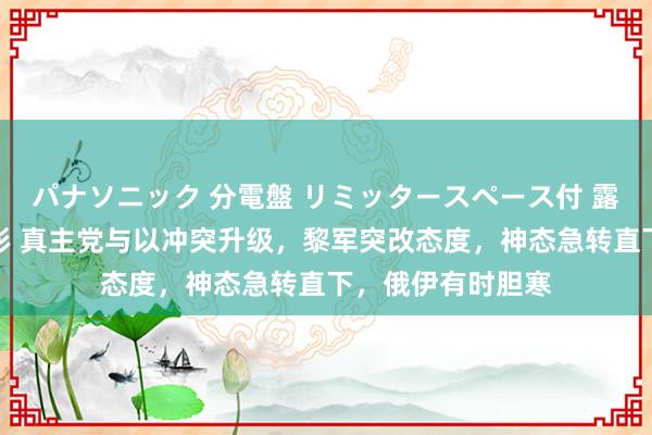 パナソニック 分電盤 リミッタースペース付 露出・半埋込両用形 真主党与以冲突升级，黎军突改态度，神态急转直下，俄伊有时胆寒