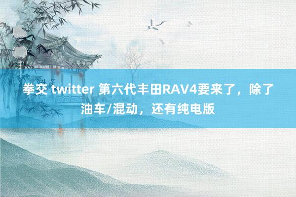 拳交 twitter 第六代丰田RAV4要来了，除了油车/混动，还有纯电版