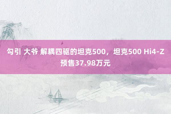 勾引 大爷 解耦四驱的坦克500，坦克500 Hi4-Z预售37.98万元