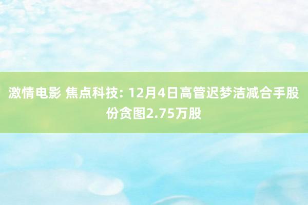 激情电影 焦点科技: 12月4日高管迟梦洁减合手股份贪图2.75万股