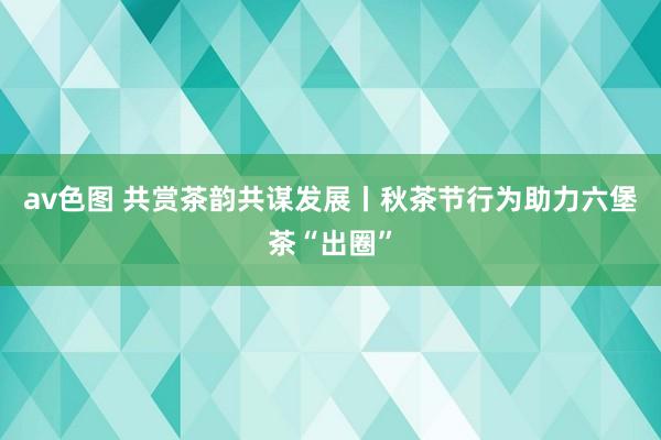 av色图 共赏茶韵共谋发展丨秋茶节行为助力六堡茶“出圈”