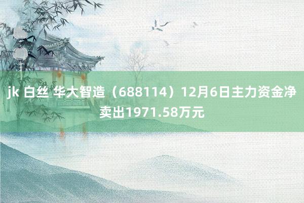 jk 白丝 华大智造（688114）12月6日主力资金净卖出1971.58万元