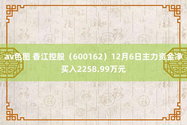 av色图 香江控股（600162）12月6日主力资金净买入2258.99万元