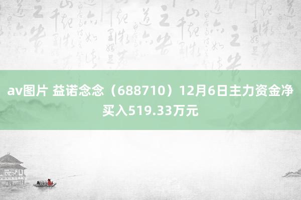 av图片 益诺念念（688710）12月6日主力资金净买入519.33万元