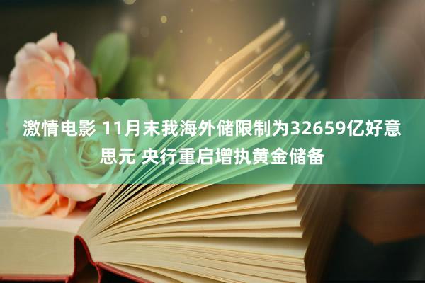 激情电影 11月末我海外储限制为32659亿好意思元 央行重启增执黄金储备