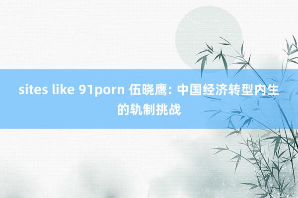 sites like 91porn 伍晓鹰: 中国经济转型内生的轨制挑战