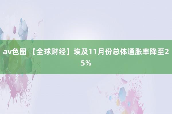 av色图 【全球财经】埃及11月份总体通胀率降至25%