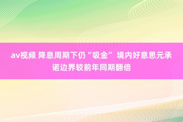 av视频 降息周期下仍“吸金” 境内好意思元承诺边界较前年同期翻倍