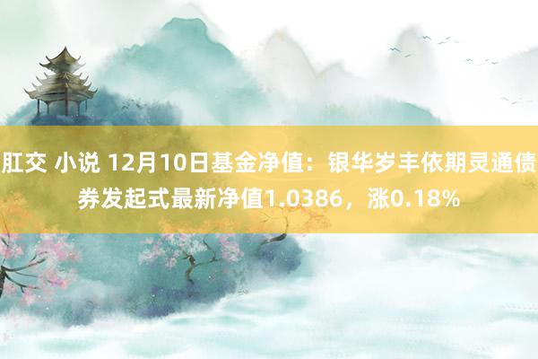 肛交 小说 12月10日基金净值：银华岁丰依期灵通债券发起式最新净值1.0386，涨0.18%