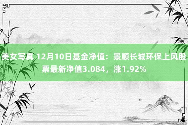 美女写真 12月10日基金净值：景顺长城环保上风股票最新净值3.084，涨1.92%