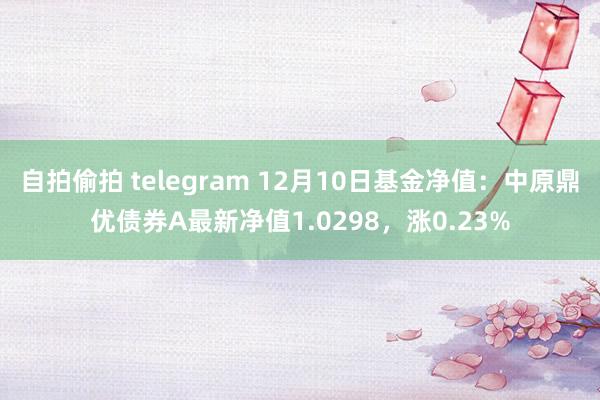 自拍偷拍 telegram 12月10日基金净值：中原鼎优债券A最新净值1.0298，涨0.23%