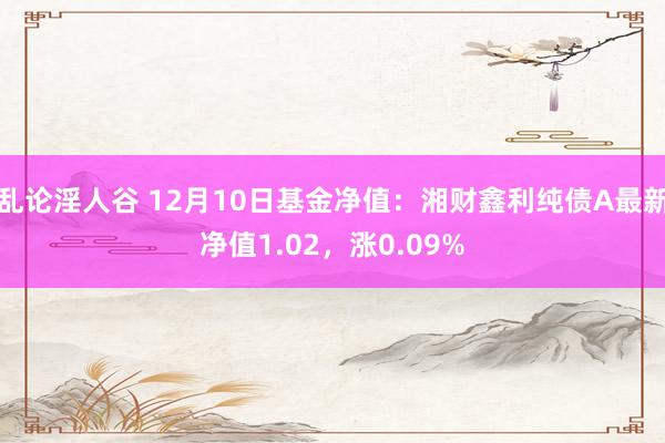 乱论淫人谷 12月10日基金净值：湘财鑫利纯债A最新净值1.02，涨0.09%