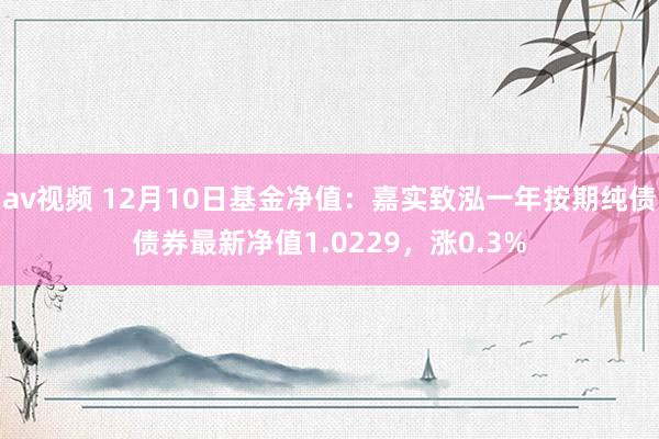 av视频 12月10日基金净值：嘉实致泓一年按期纯债债券最新净值1.0229，涨0.3%