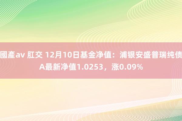 國產av 肛交 12月10日基金净值：浦银安盛普瑞纯债A最新净值1.0253，涨0.09%