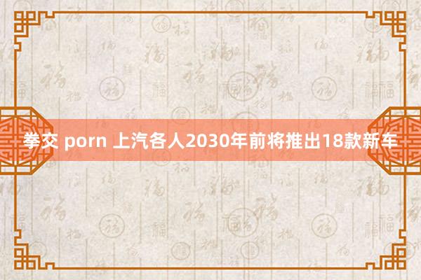 拳交 porn 上汽各人2030年前将推出18款新车