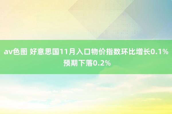 av色图 好意思国11月入口物价指数环比增长0.1% 预期下落0.2%