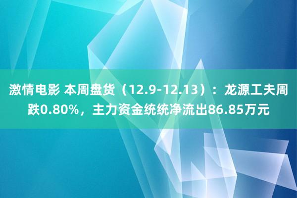 激情电影 本周盘货（12.9-12.13）：龙源工夫周跌0.80%，主力资金统统净流出86.85万元