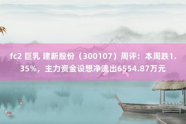 fc2 巨乳 建新股份（300107）周评：本周跌1.35%，主力资金设想净流出6554.87万元