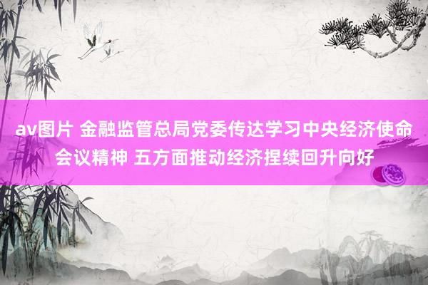 av图片 金融监管总局党委传达学习中央经济使命会议精神 五方面推动经济捏续回升向好