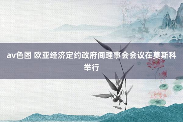 av色图 欧亚经济定约政府间理事会会议在莫斯科举行