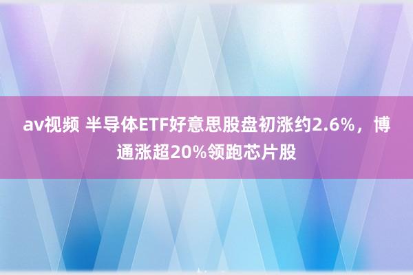 av视频 半导体ETF好意思股盘初涨约2.6%，博通涨超20%领跑芯片股