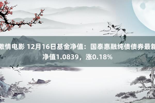 激情电影 12月16日基金净值：国泰惠融纯债债券最新净值1.0839，涨0.18%